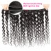 Virgin Water Wave Hair Bundles With 13x4 Transparent/HD Lace Frontal Closure