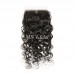 Virgin Water Wave Hair Bundles With 5x5 Transparent/HD Lace Closure